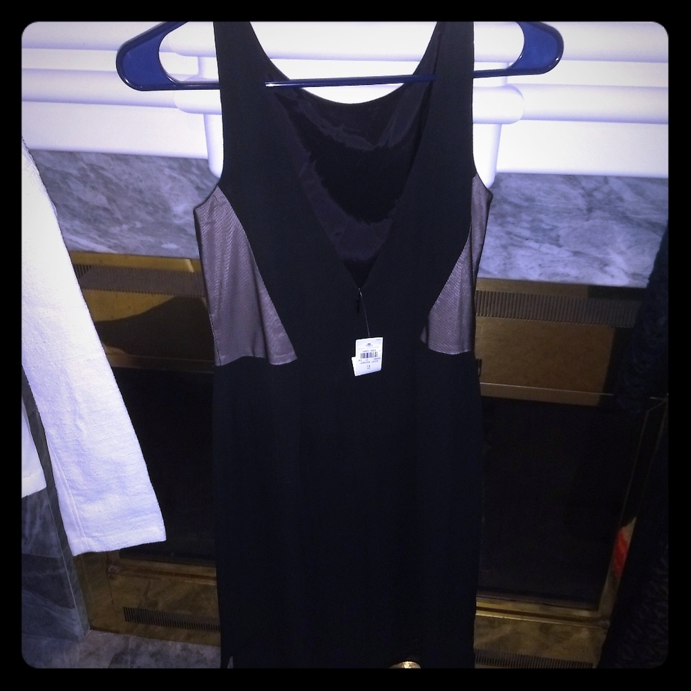 Ann Taylor dress
